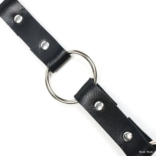 with Leash EverydayUse Kinky Anal and Hook 5853 Collar 0528